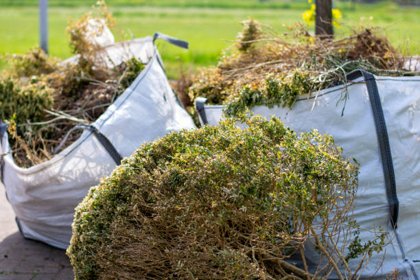 Trash Removal Near Me in Old Jamestown, MO